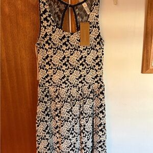 Francesca's Collections Black and Cream Lace Midi Dress with Back Keyhole